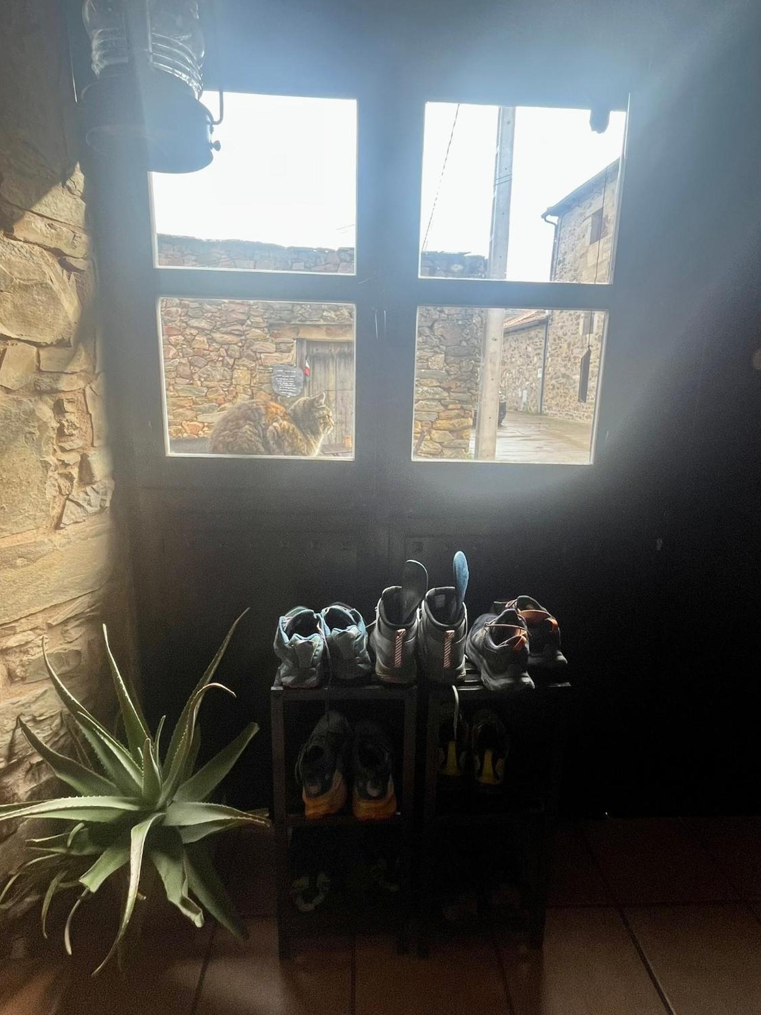 The Pilgrim Stone - Vegan B&B Rabanal del Camino Esterno foto